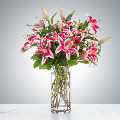 Stargazer Bouquet