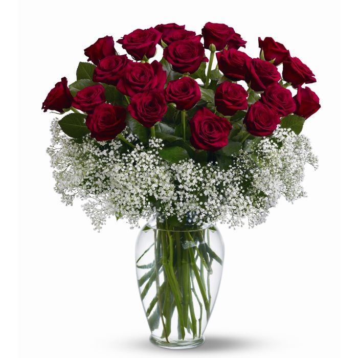 Halo of Love-2 Dozen Roses