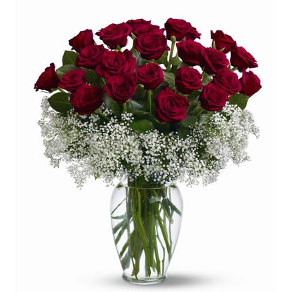 Halo of Love-2 Dozen Roses – CHRISTELL'S FLOWERS, Killeen TX