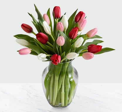 Timeless Romance Tulips