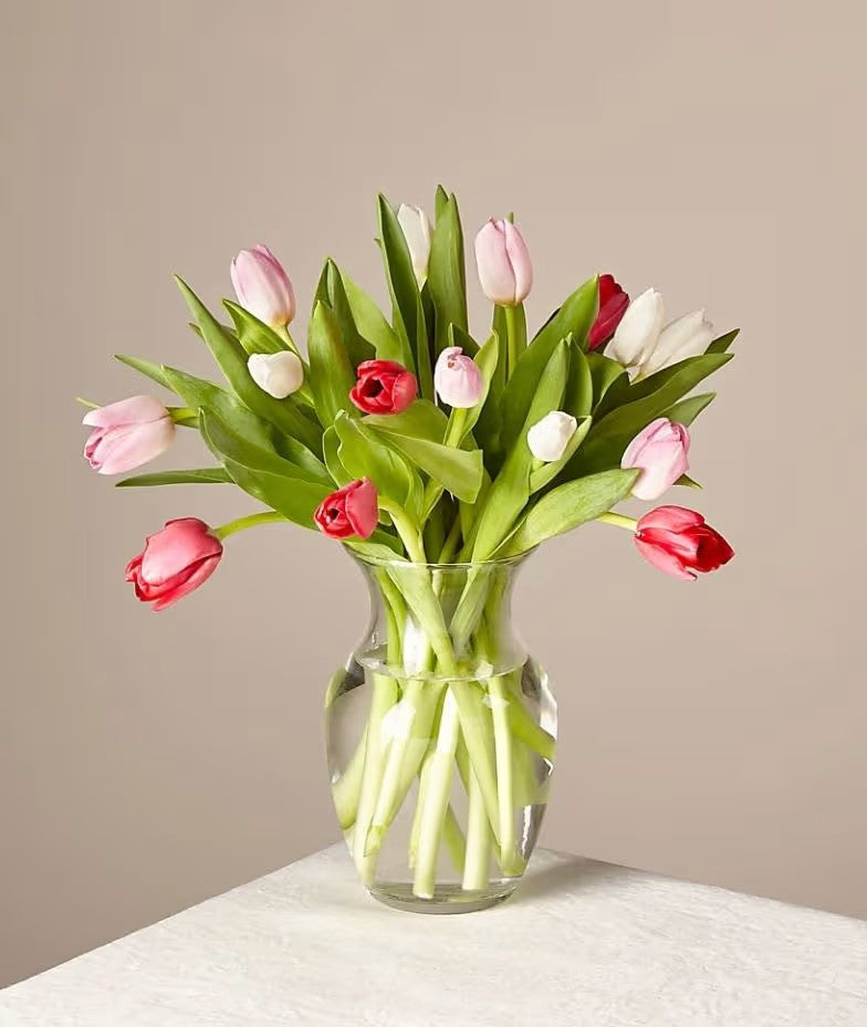 Timeless Romance Tulips