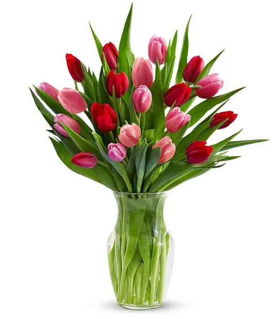 Cupid's Tulips- 2 Dz