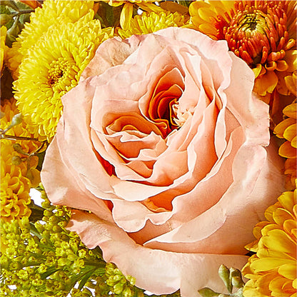 Peachy Pumpkin – CHRISTELL'S FLOWERS, Killeen TX