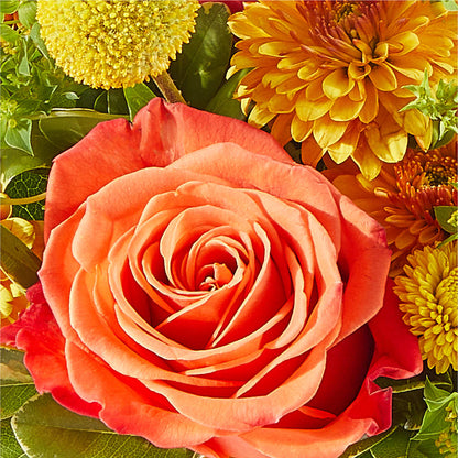 Gourdgeous Pumpkin – CHRISTELL'S FLOWERS, Killeen TX