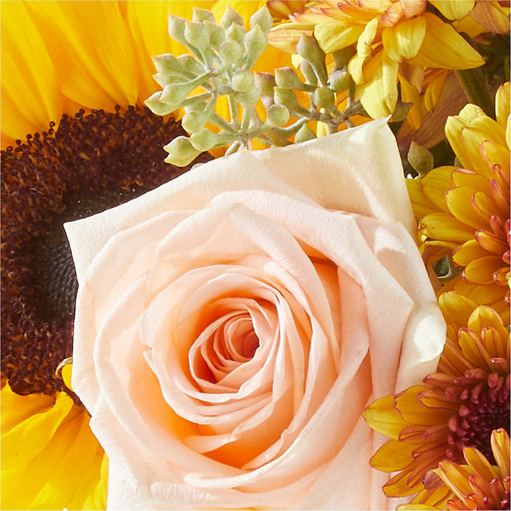 Pumpkin to Talk About Bouquet – CHRISTELL'S FLOWERS, Killeen TX