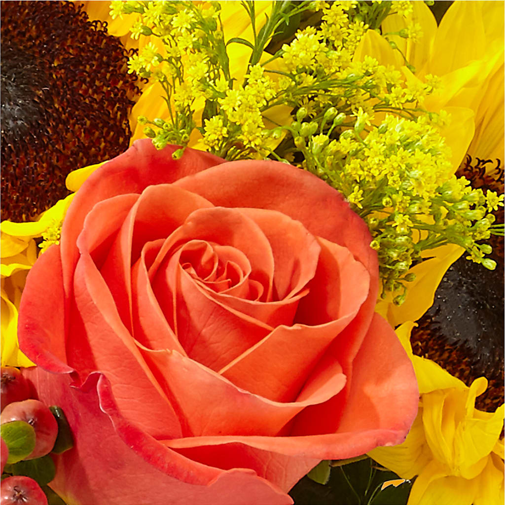 Pick of the Patch Pumpkin Bouquet – CHRISTELL'S FLOWERS, Killeen TX