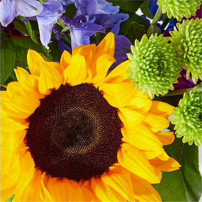 Catching Rays Bouquet – CHRISTELL'S FLOWERS, Killeen TX