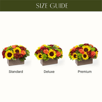 Happy Harvest Garden – CHRISTELL'S FLOWERS, Killeen TX