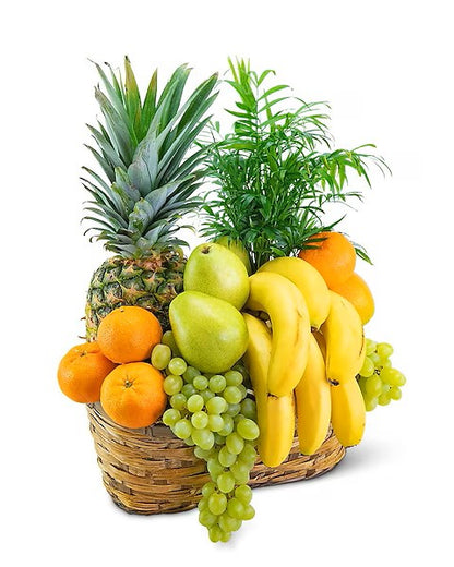 Green Thumb Gourmet Basket – CHRISTELL'S FLOWERS, Killeen TX