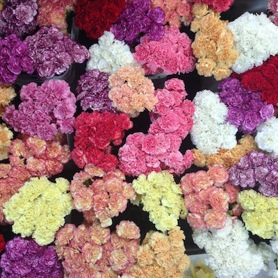 Loose Carnations-Spring Mix