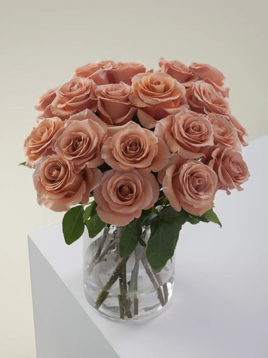 Moab Roses