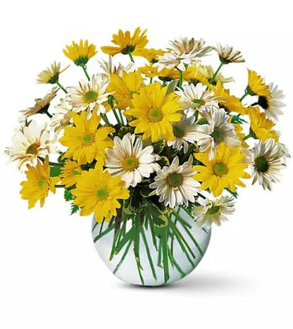 Plentiful Posies – CHRISTELL'S FLOWERS, Killeen TX