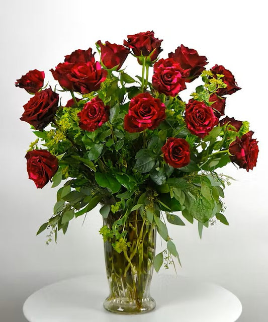 Red Panther Roses