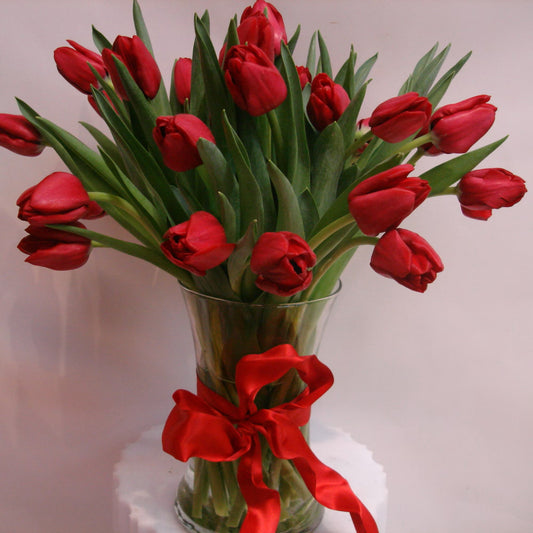 Red Romance Tulips