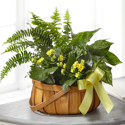 Always Dear Dishgarden – CHRISTELL'S FLOWERS, Killeen TX