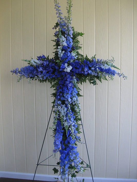 Delphinium Cross