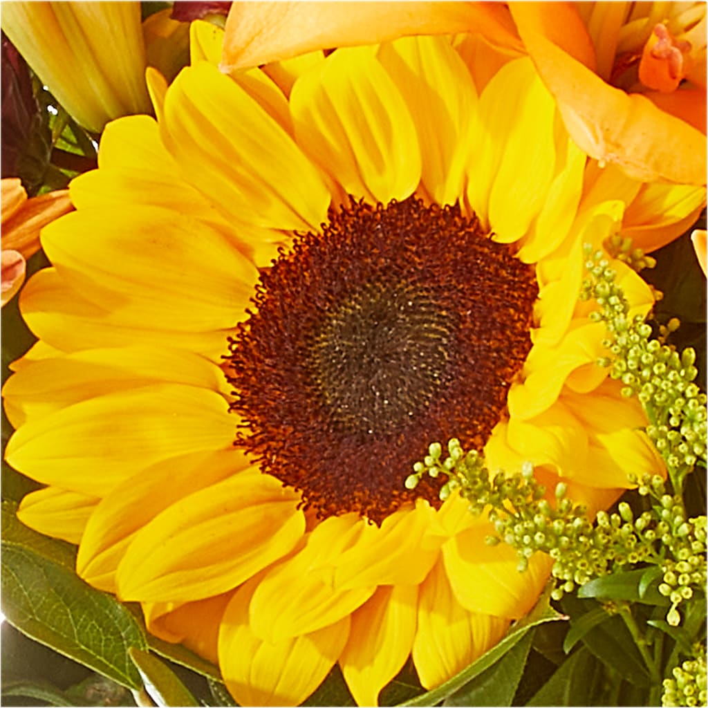 Seasons Change Bouquet – CHRISTELL'S FLOWERS, Killeen TX