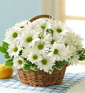 Daisy Days Basket