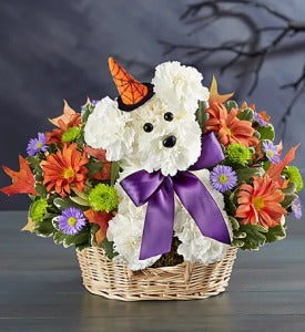 Witchy Pooch Bouquet